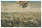 Петер Шенк (1645-1708). Победа шведской армии Карла XII над русской армией при Нарве в ноябре 1700г. Гравюра. 1701г.